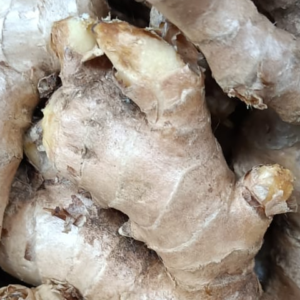 Fresh Ginger/अदरख